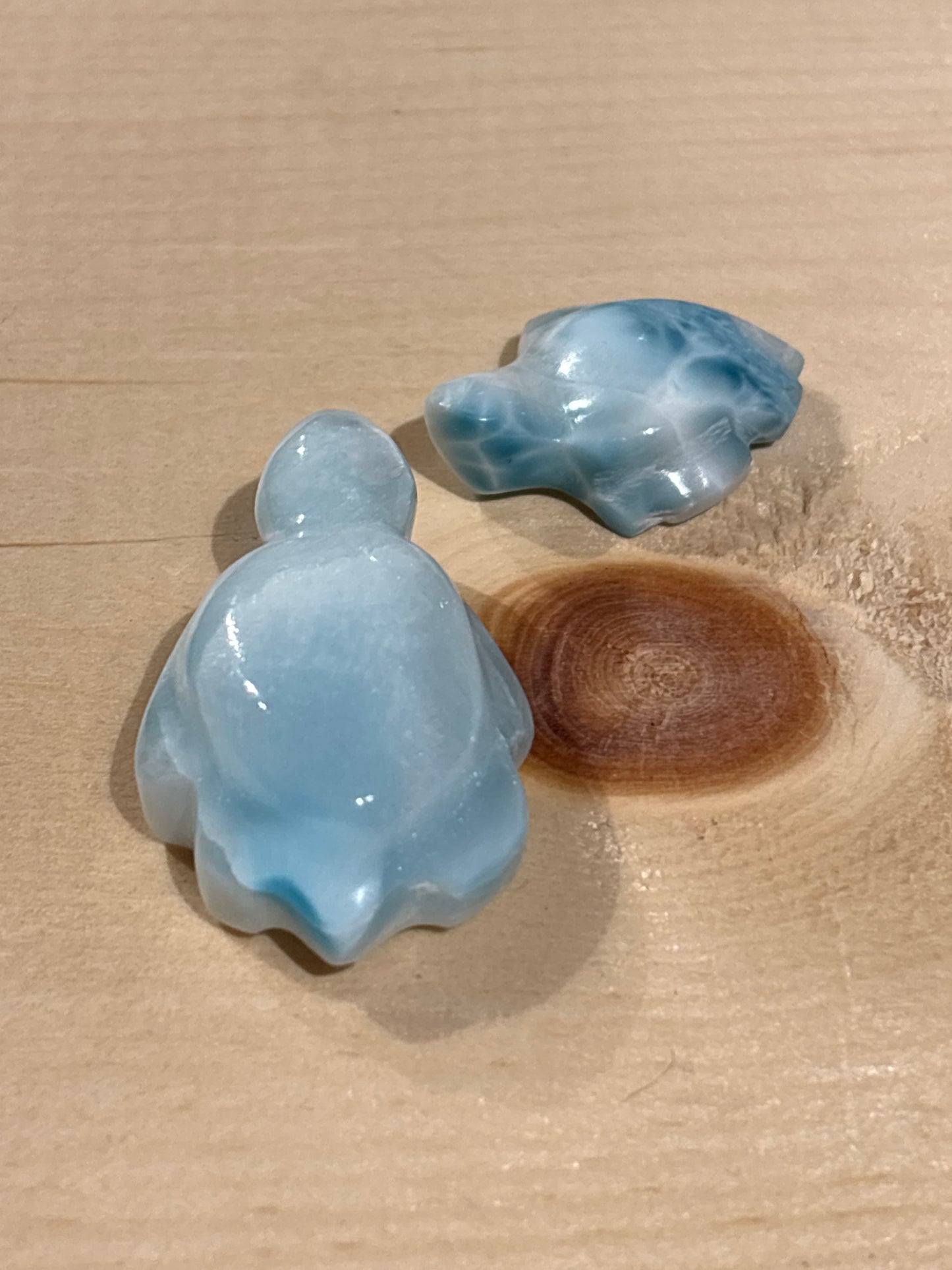 Tortue en Larimar