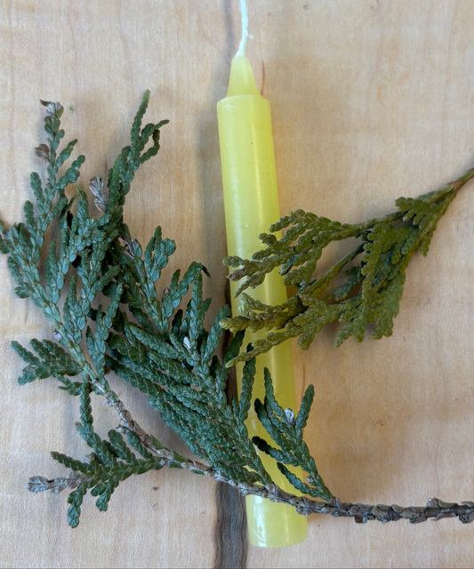 Bougie Jaune - Type Taper Candle