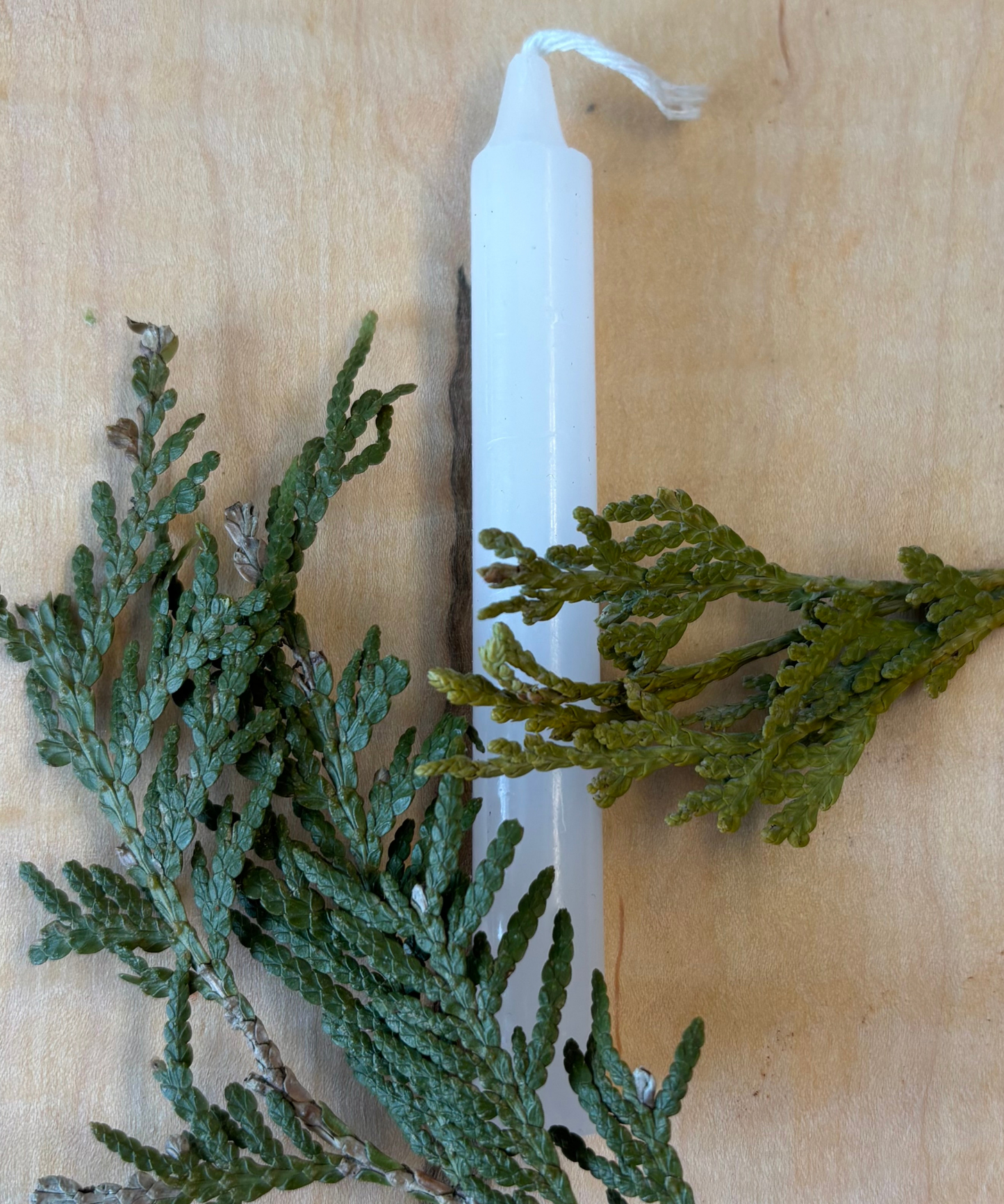 Bougie Blanche - Type Taper Candle