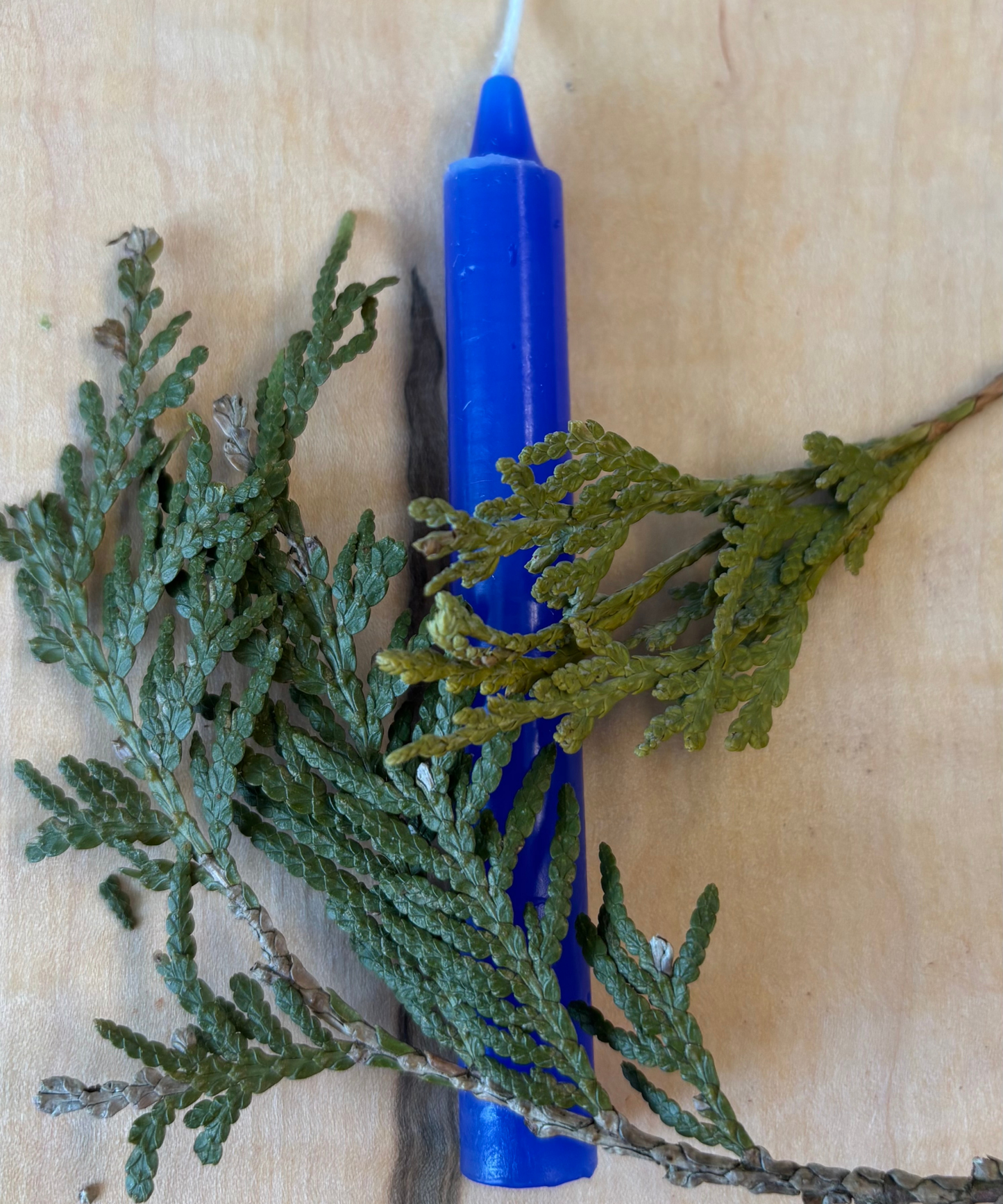 Bougie Bleu Foncé - Type Taper Candle