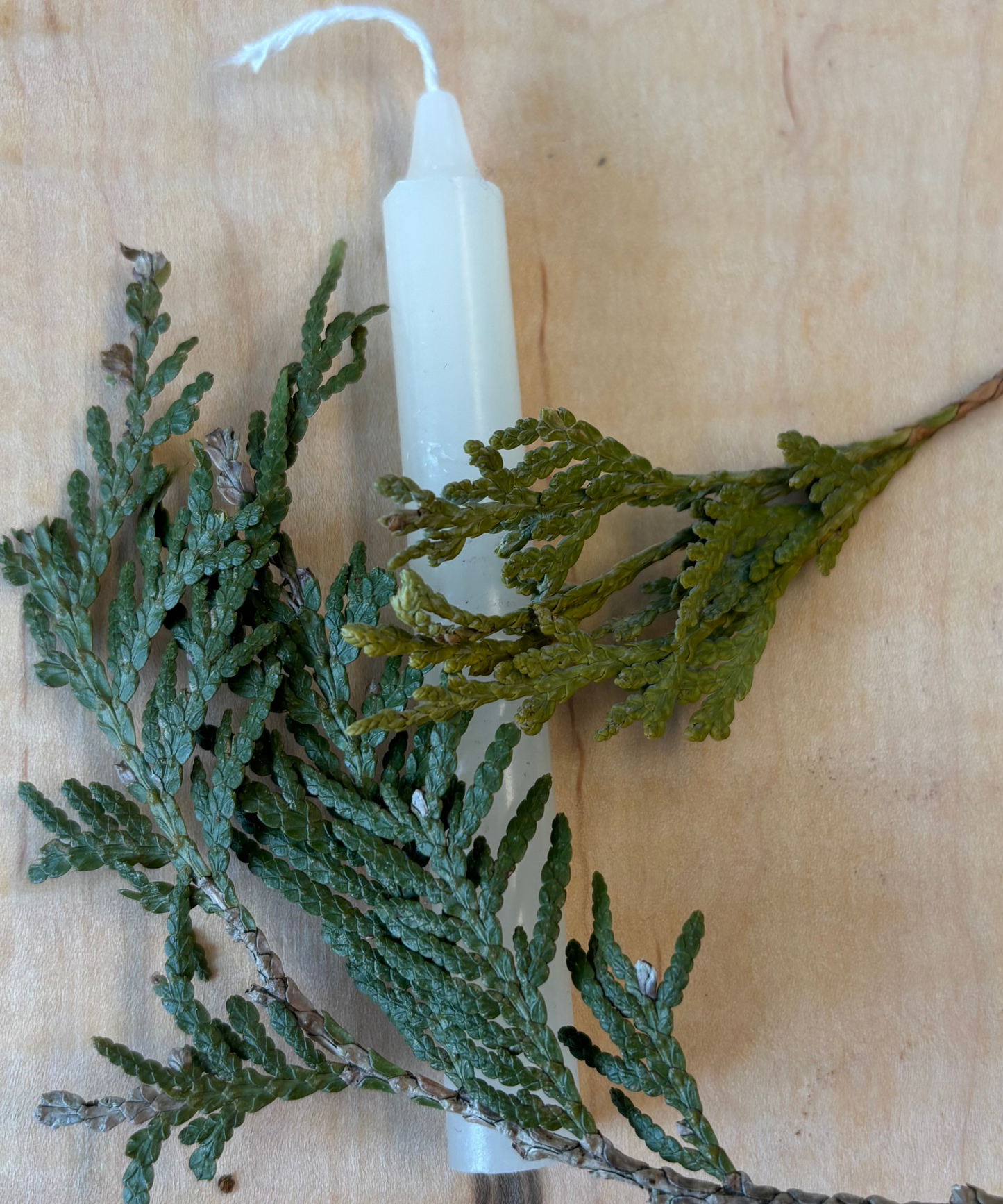 Bougie Crème - Type Taper Candle