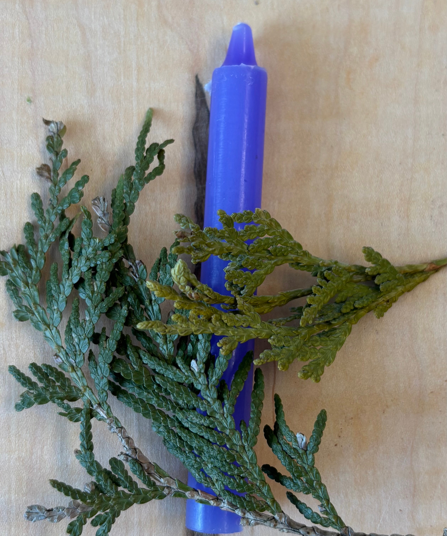 Bougie Lavande (Couleur) - Type Taper Candle