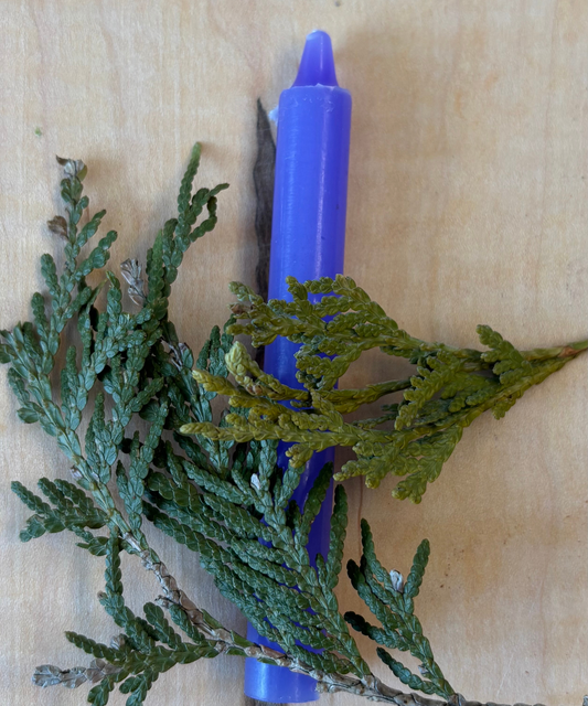 Bougie Lavande (Couleur) - Type Taper Candle