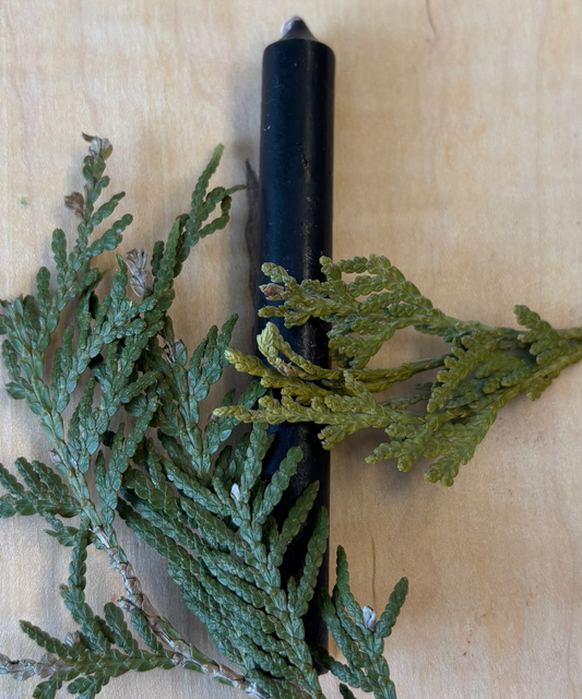 Bougie Noire - Type Taper Candle