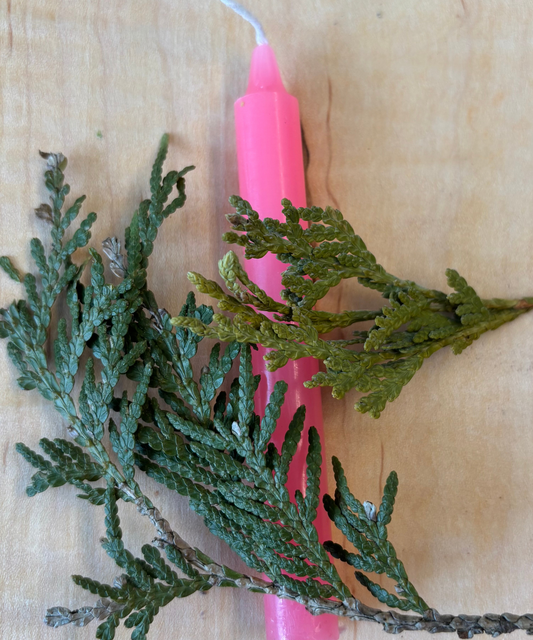 Bougie Rose - Type Taper Candle