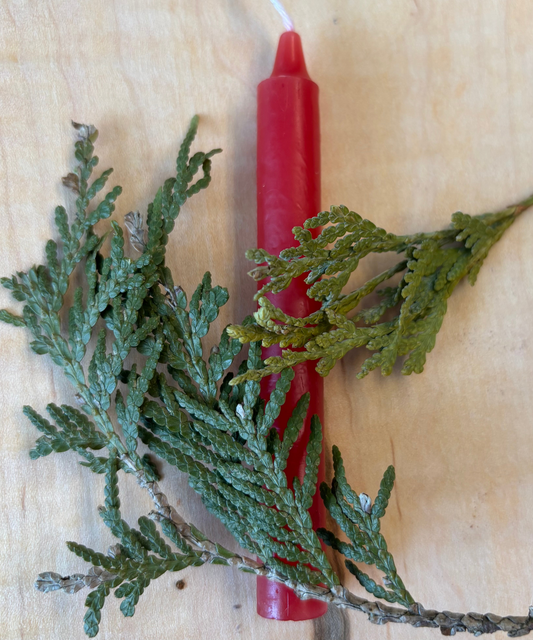 Bougie Rouge - Type Taper Candle