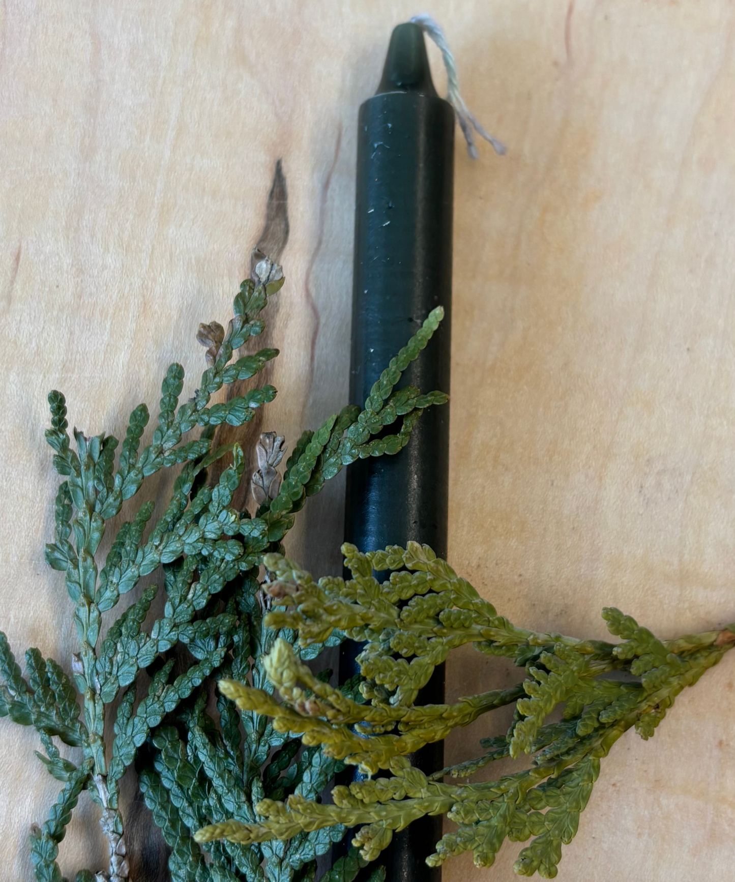 Bougie Vert Forêt - Type Taper Candle