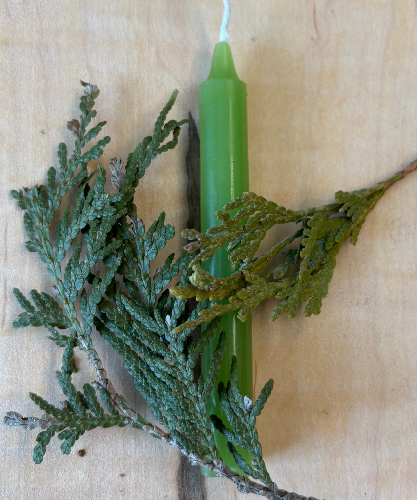 Bougie Verte - Type Taper Candle