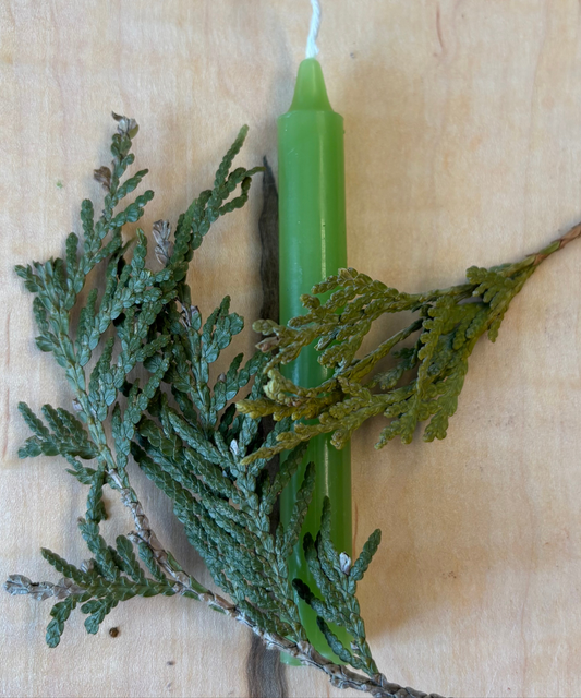 Bougie Verte - Type Taper Candle