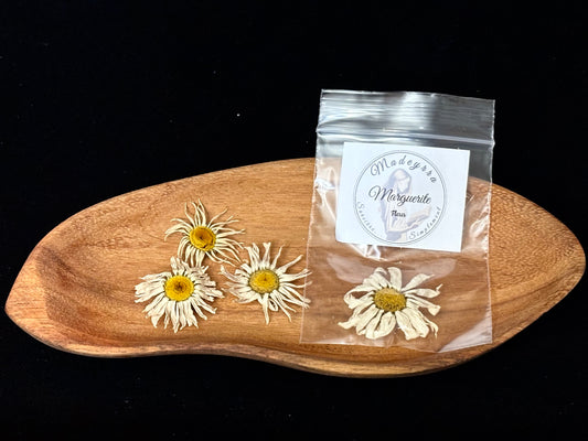 Fleur magique - Marguerite