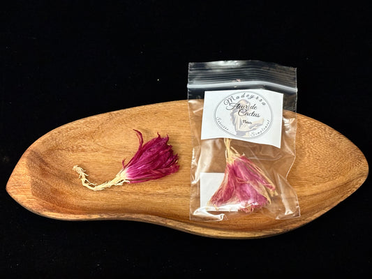 Fleur magique - Cactus Rose