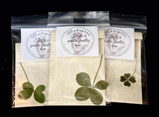 Herbe magique - Trèfle à quatre (4) feuilles