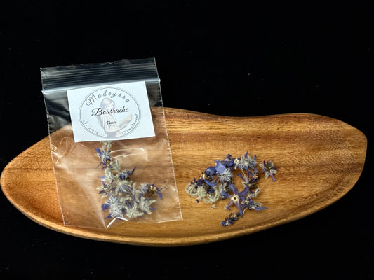 Fleur magique - Bourrache