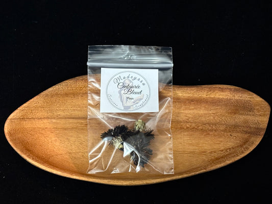 Fleur magique - Centaurée Bleuet