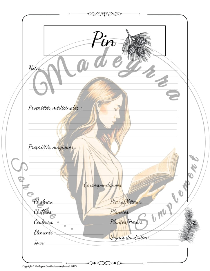 Grimoire Magique - Pin (PDF à compléter)