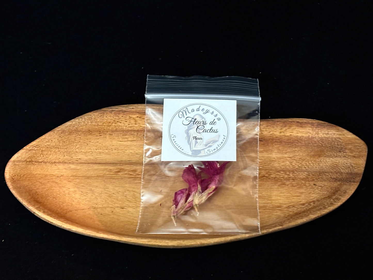 Fleur magique - Cactus Rose